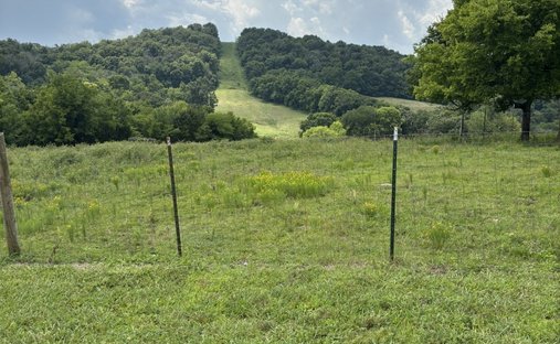 Land in Nolensville, Tennessee, United States 1