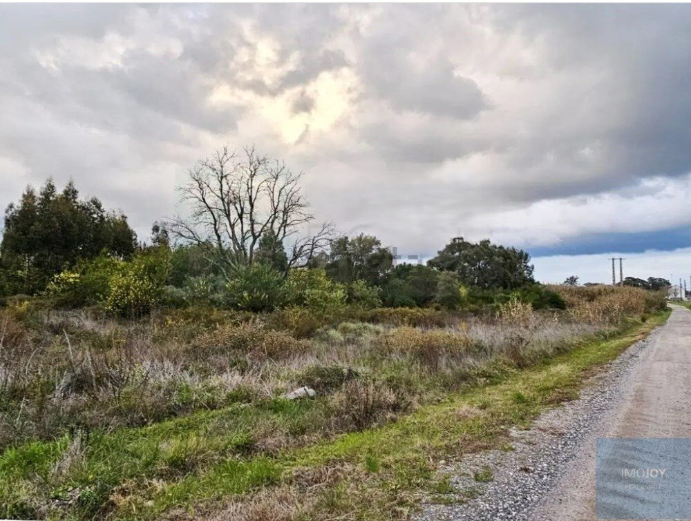 Land in Pegoes, Setubal, Portugal 4 - 17730987