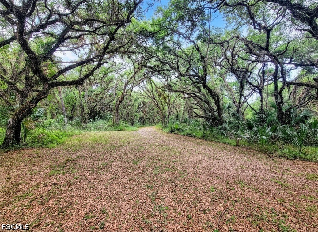 House in Labelle, Florida, United States 2 - 17729329
