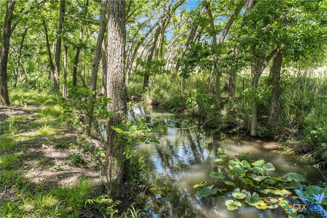 House in Salado, Texas, United States 2 - 17388243