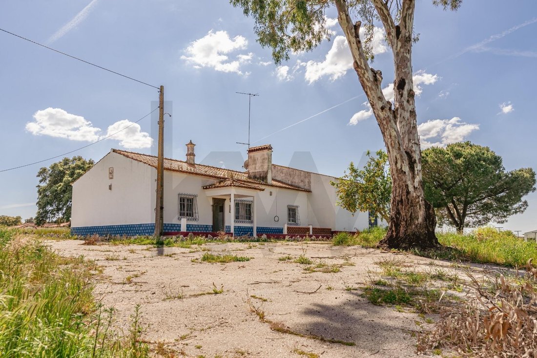 House in Viana do Alentejo, Évora District, Portugal 3 - 17731356