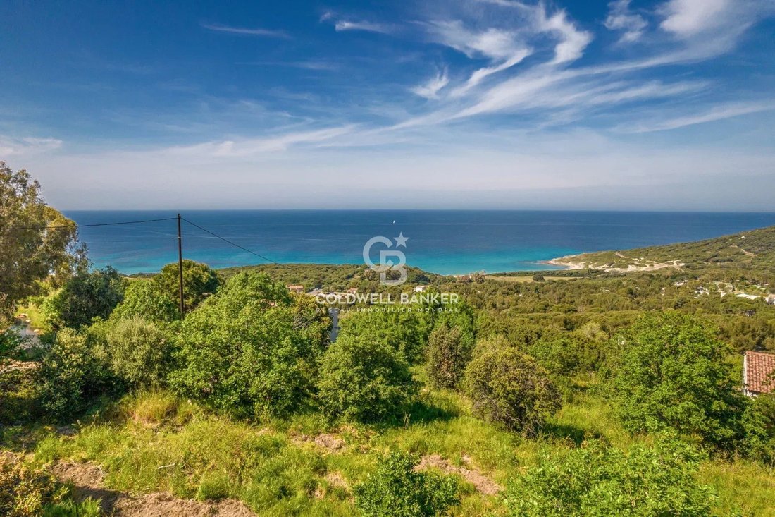 Land in Corbara, Corsica, France 1 - 15574704