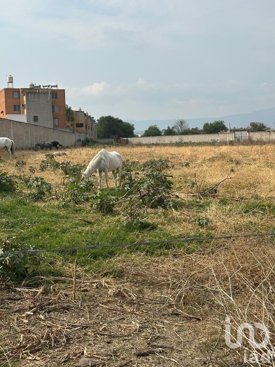Land in Sendero Real, Jalisco, Mexico 1 - 17727632