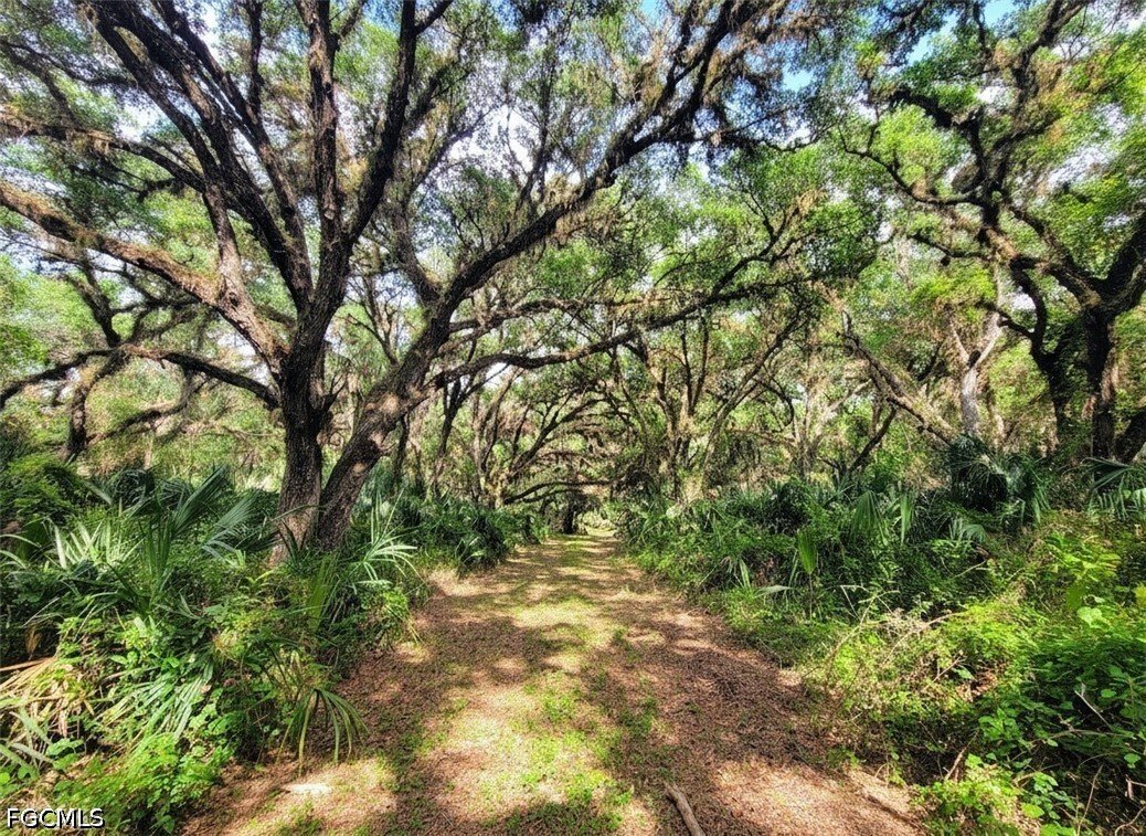 House in Labelle, Florida, United States 3 - 17729329