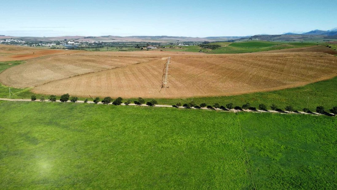 Farm Ranch in Riversdale Settlement, Western Cape, South Africa 2 - 17728589