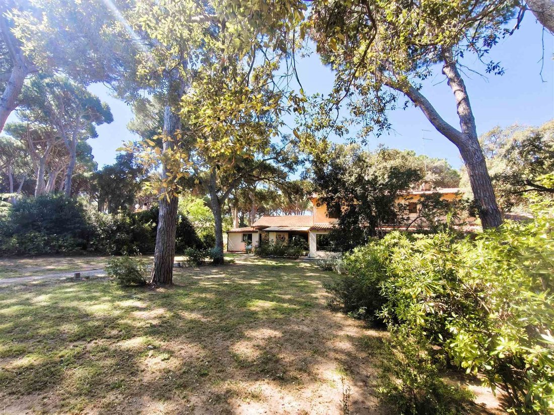 House in Punta Ala, Castiglione della Pescaia, Tuscany 2 - 17731039