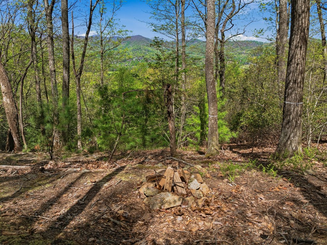 Land in Mills River, North Carolina, United States 4 - 17732138