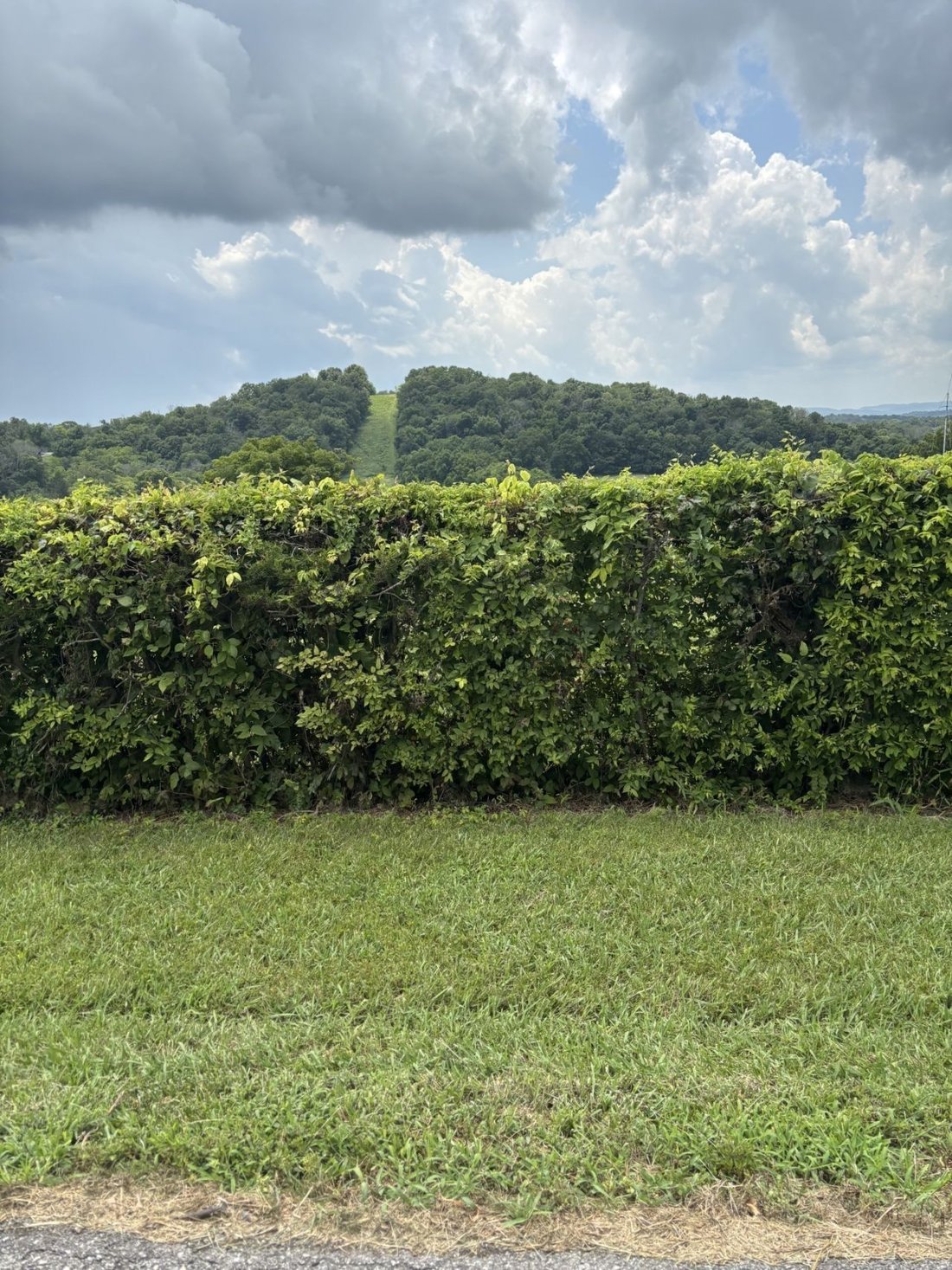 Land in Nolensville, Tennessee, United States 5 - 17732136
