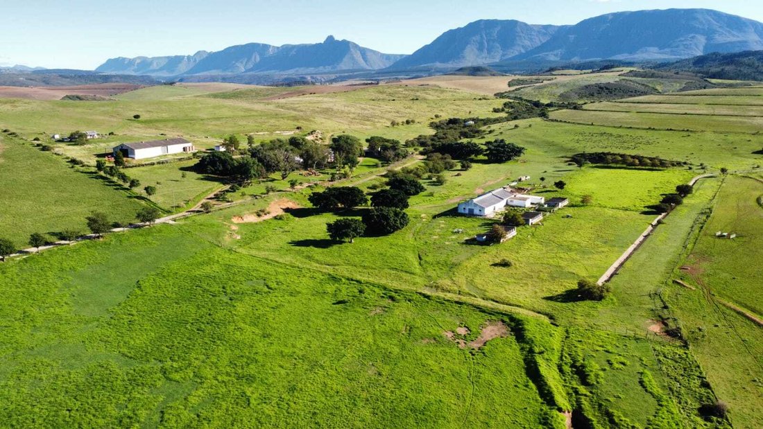 Farm Ranch in Riversdale Settlement, Western Cape, South Africa 1 - 17728589