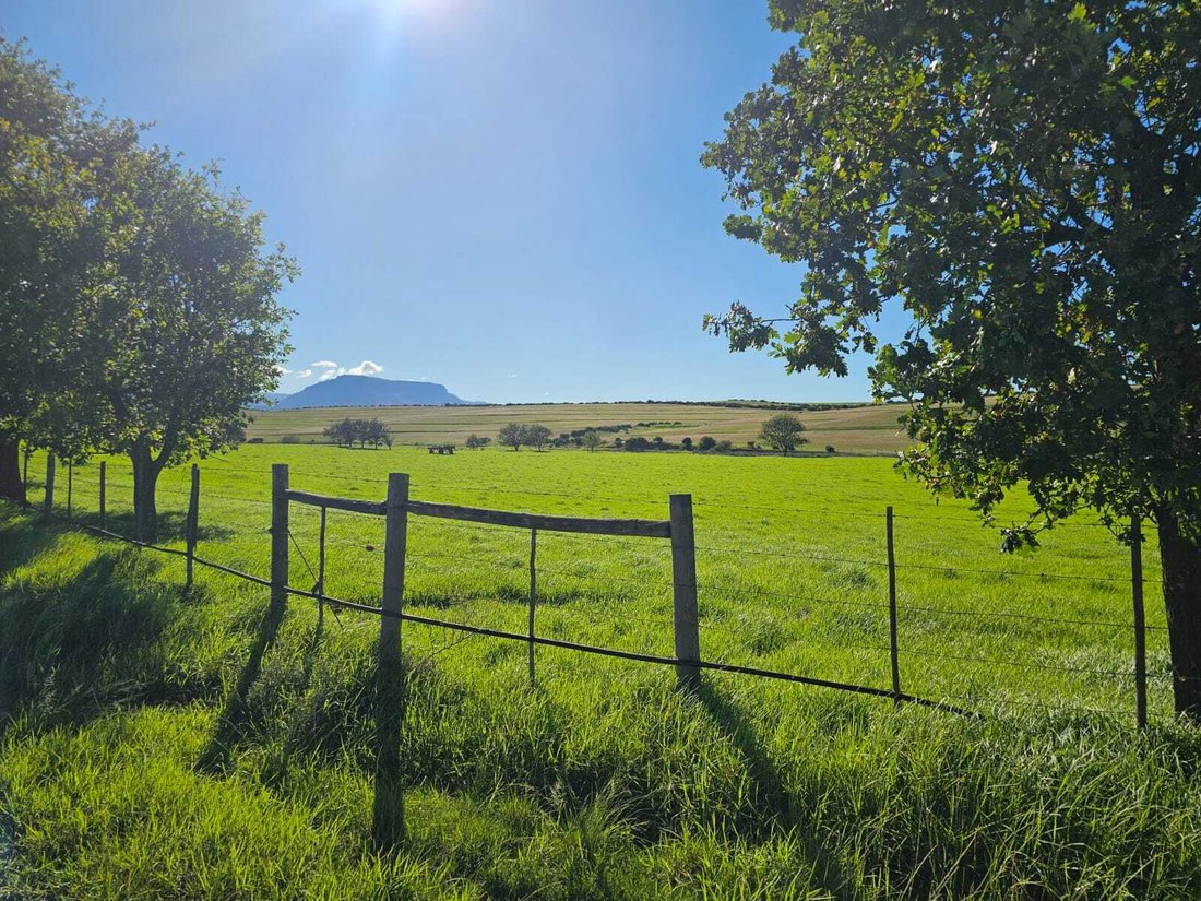 Farm Ranch in Riversdale Settlement, Western Cape, South Africa 5 - 17728589