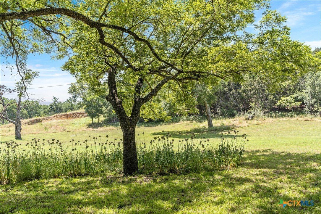 House in Salado, Texas, United States 3 - 17388243