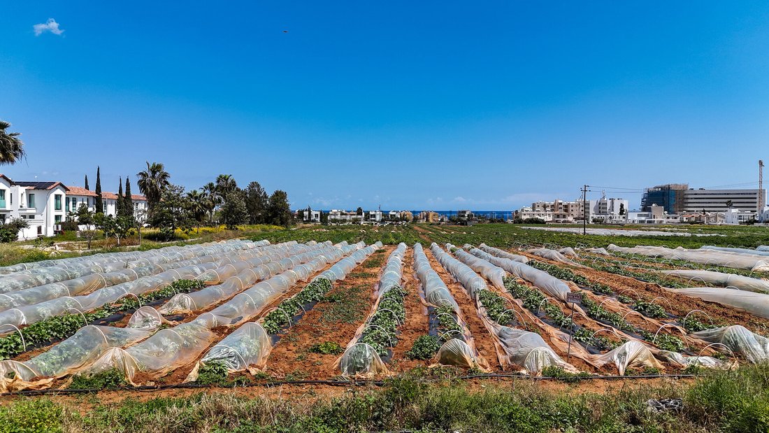 Land in Paralimni, Famagusta, Cyprus 1 - 16712225