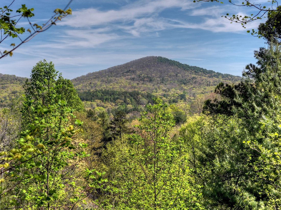 House in Morganton, Georgia, United States 4 - 17728629
