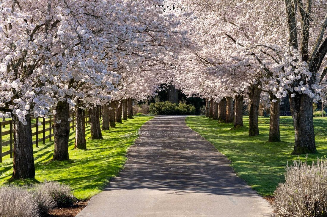 House in Amity, Oregon, United States 2 - 17728377