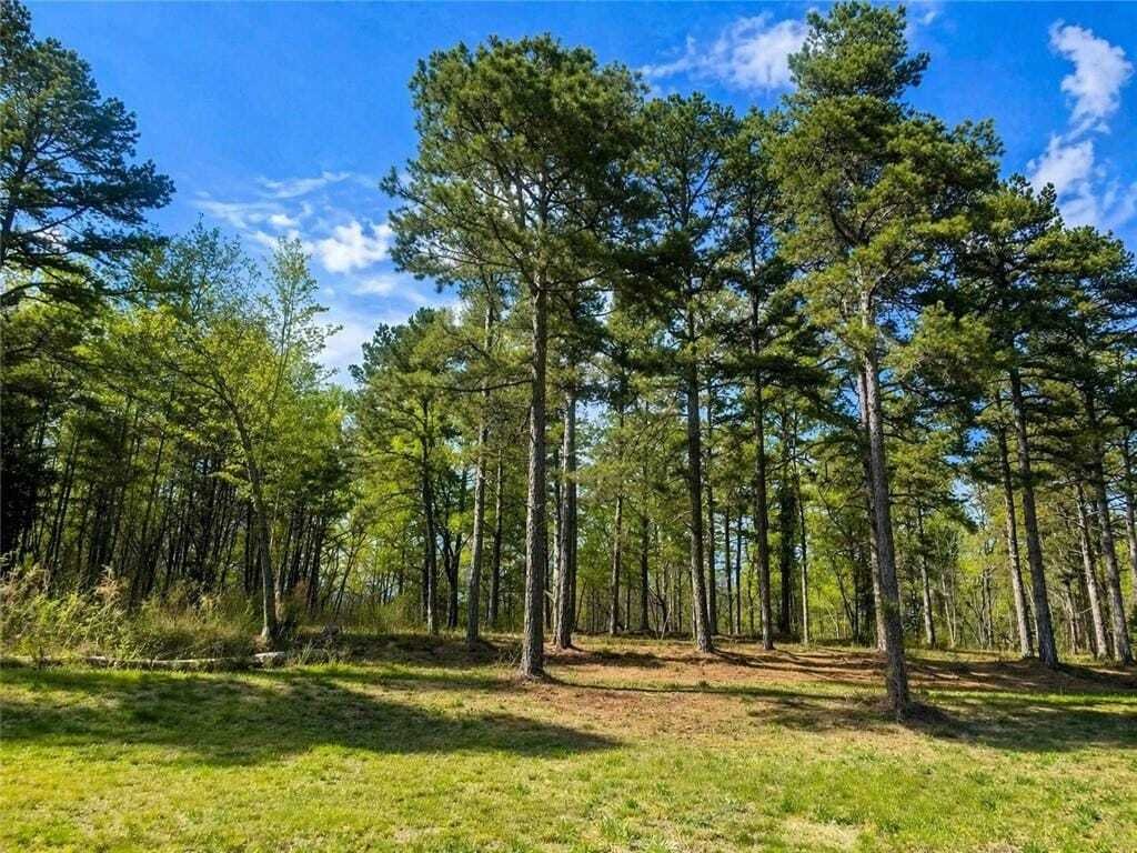 House in Martin, Georgia, United States 2 - 17726980