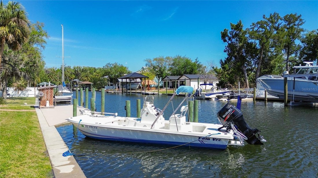 House in Crystal River, Florida, United States 3 - 17729905