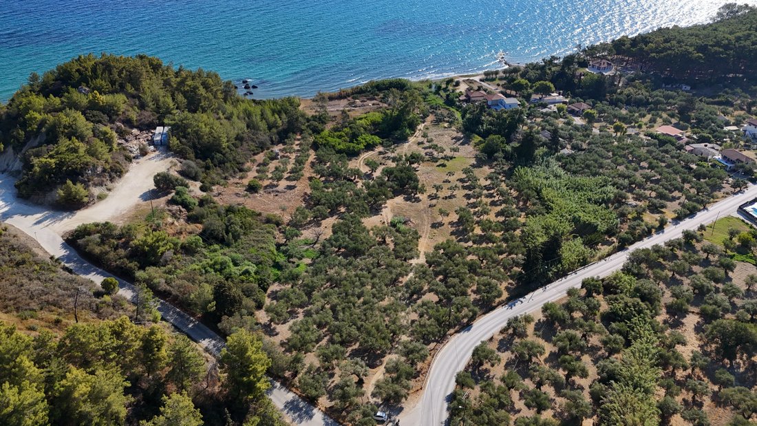 Land in Gaitaniou, Peloponnese, Western Greece and the Ionian, Greece 4 - 17729319