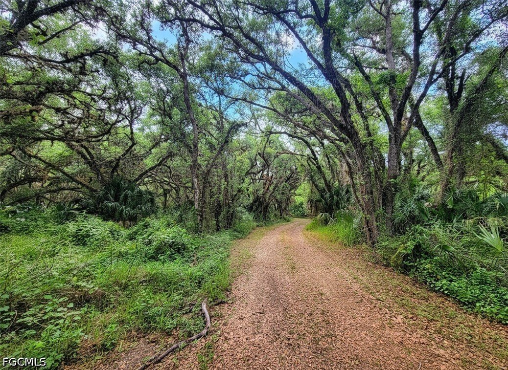 House in Labelle, Florida, United States 1 - 17729329