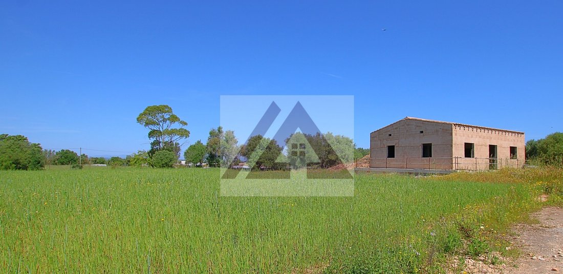 Land in Felanitx, Balearic Islands, Spain 1 - 17726684