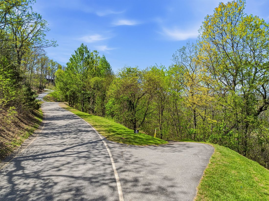 Land in Mills River, North Carolina, United States 3 - 17732138