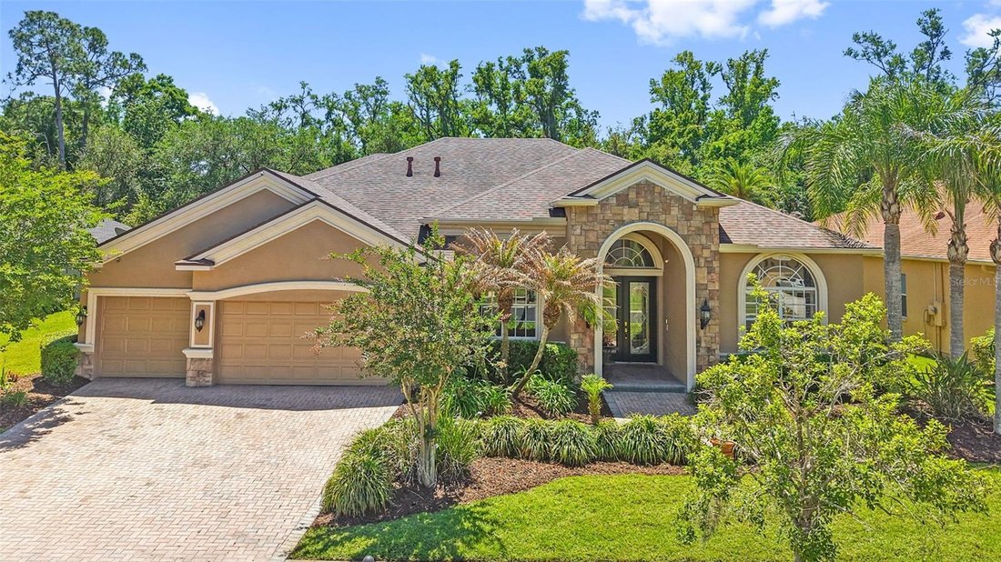 House in Wesley Chapel, Florida, United States 1 - 17729864
