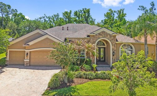 House in Wesley Chapel, Florida, United States 1