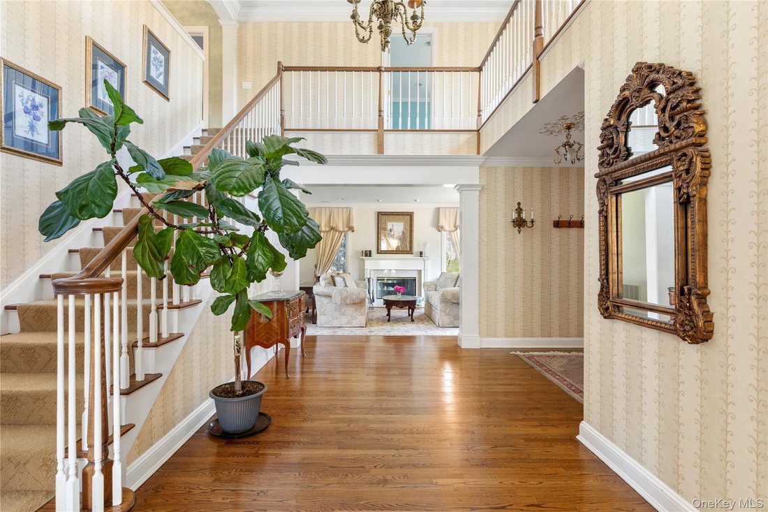 Manhasset, New York, United States 3 - 17728747