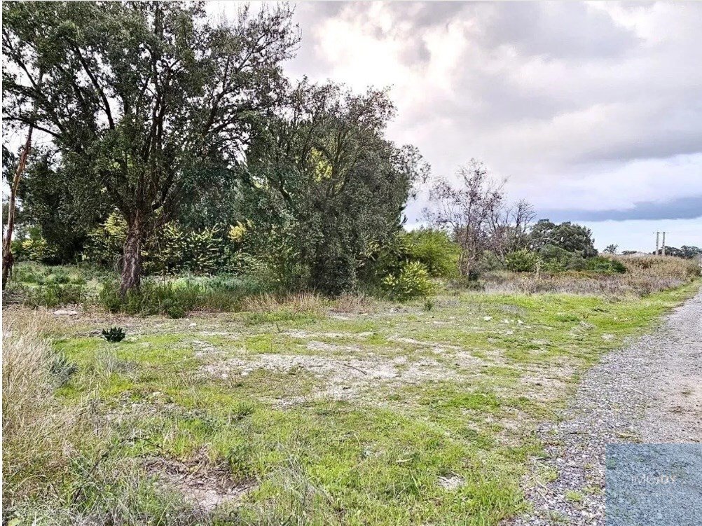 Land in Pegoes, Setubal, Portugal 2 - 17730987