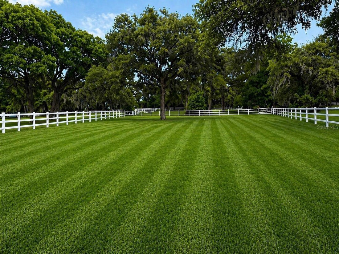 House in Sorrento, Florida, United States 5 - 17659875