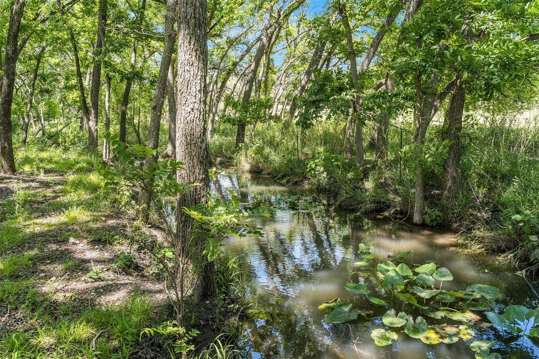 House in Salado, Texas, United States 2 - 17407279