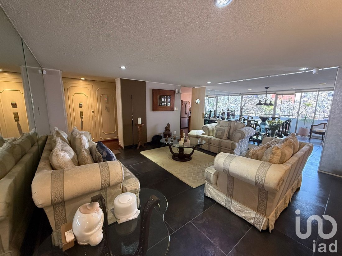 Apartment in Mexico City, Mexico 5 - 17727620
