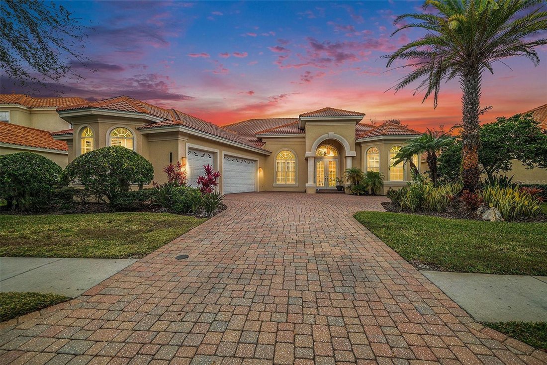 House in Tampa, Florida, United States 1 - 17729901