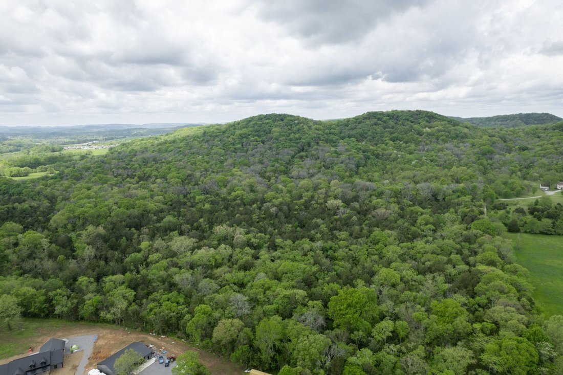 Land in Nolensville, Tennessee, United States 3 - 17732136