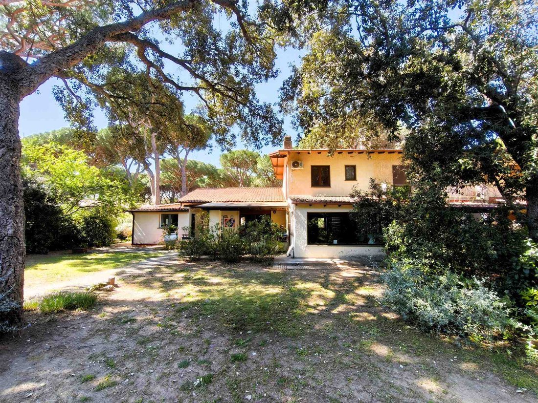 House in Punta Ala, Castiglione della Pescaia, Tuscany 3 - 17731039