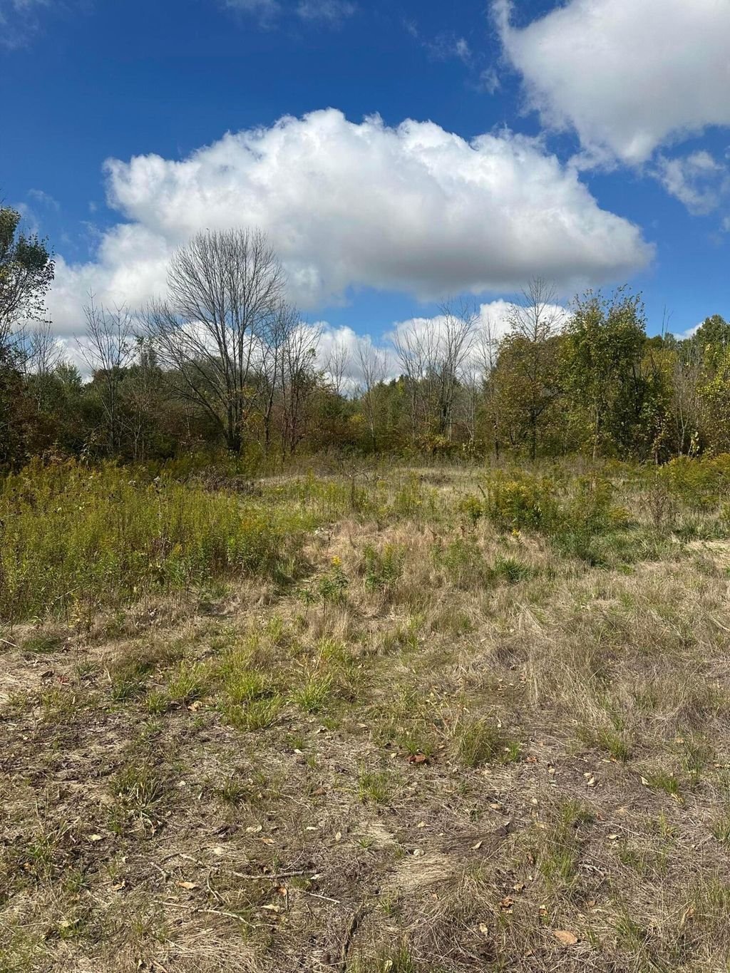 Land in Plain City, Ohio, United States 2 - 17732227