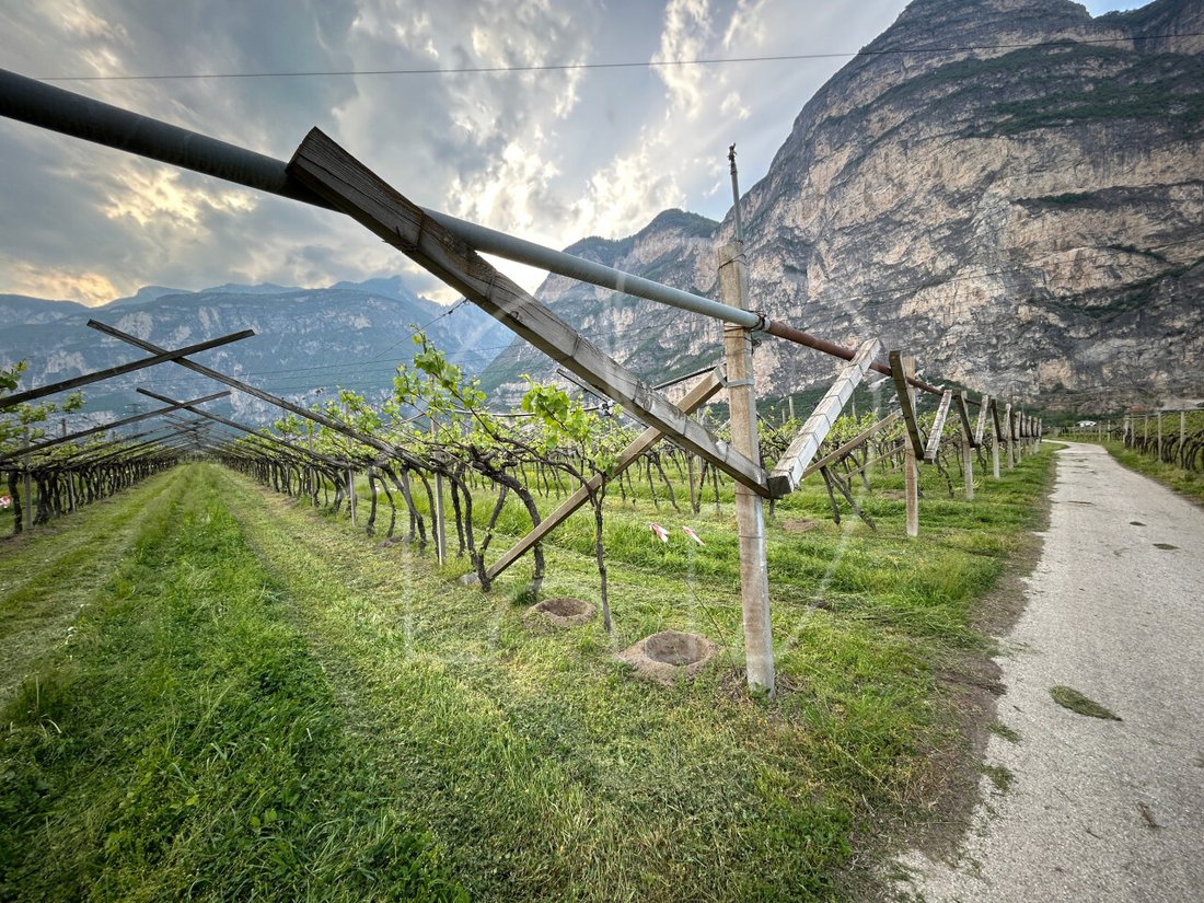 Land in Salorno / Salurn an der Weinstraße, Trentino – Alto Adige/Südtirol, Italy 3 - 17731254