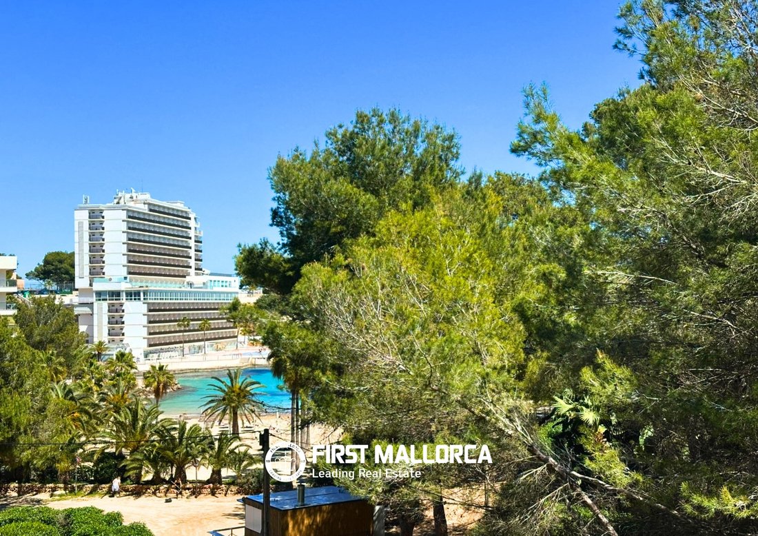 Apartment in Calvia, Balearic Islands, Spain 1 - 17730267