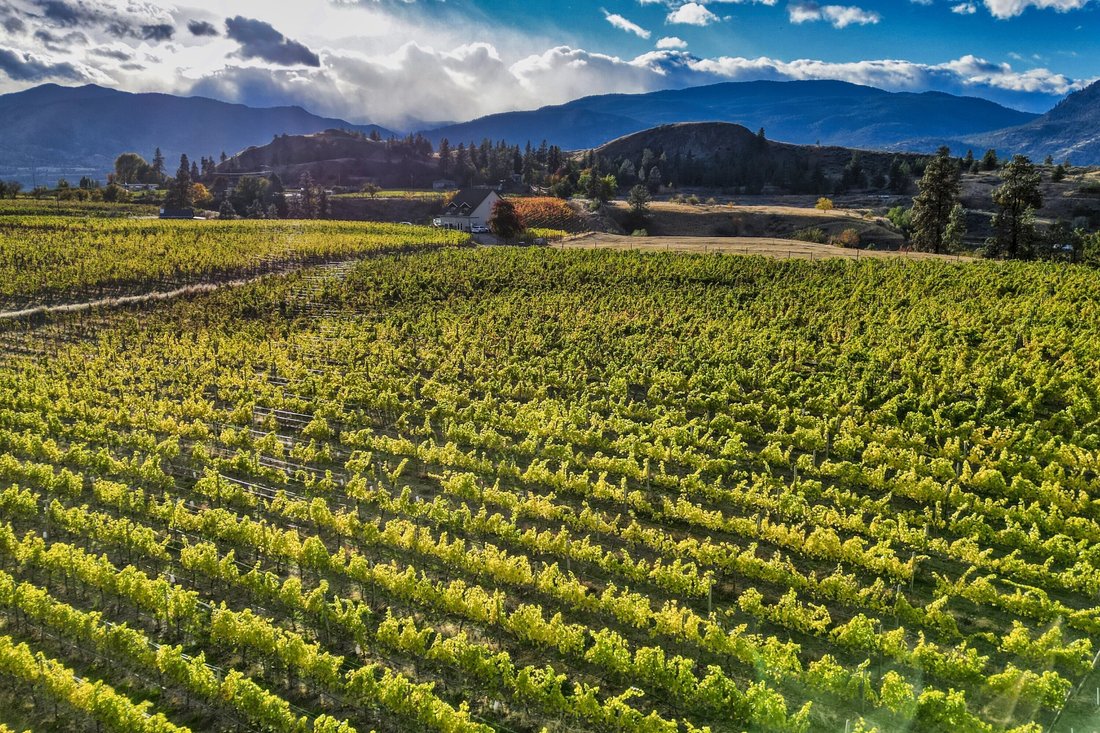 Penticton, British Columbia, Canada 3 - 17727616