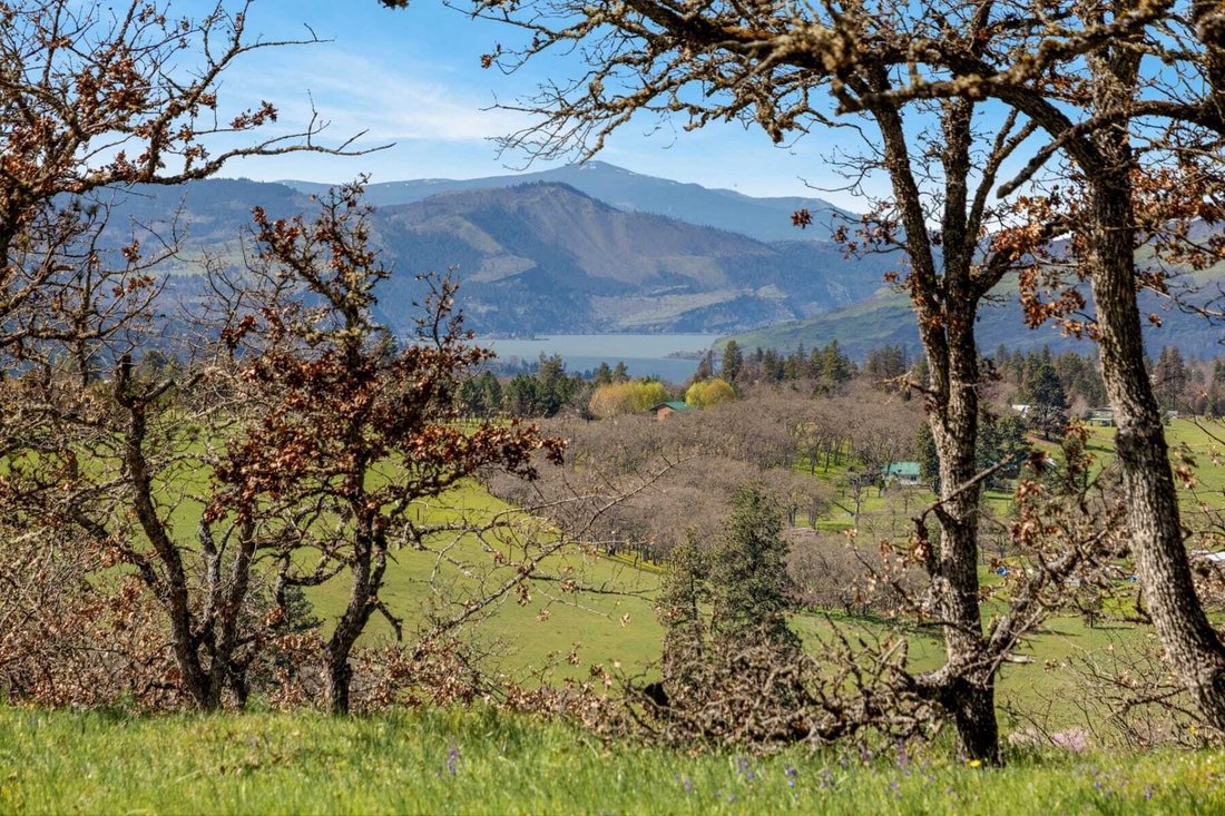 Land in Dallesport, Washington, United States 3 - 17726314