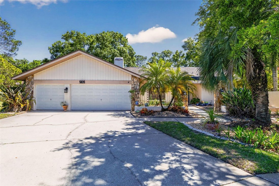 House in Tampa, Florida, United States 1 - 17729902
