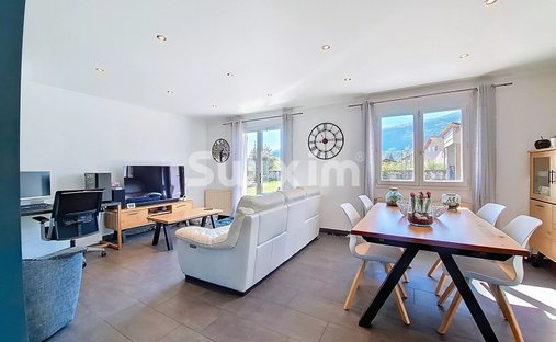 House in Plaine et Chatelet, Gaillard, France 1