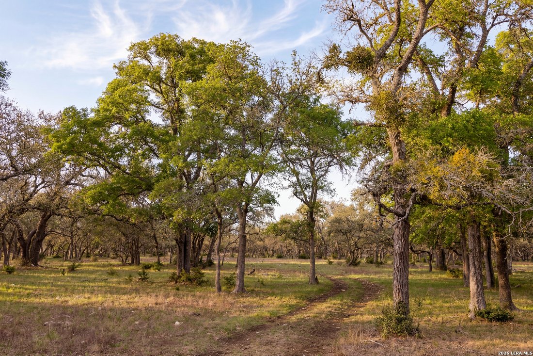 Farm Ranch in Kendalia, Texas, United States 5 - 17728435