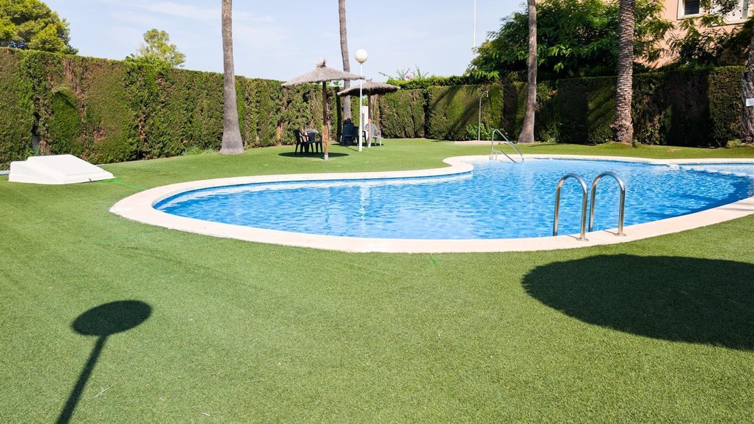 Villa in Elx / Elche, Valencian Community, Spain 5 - 16053008