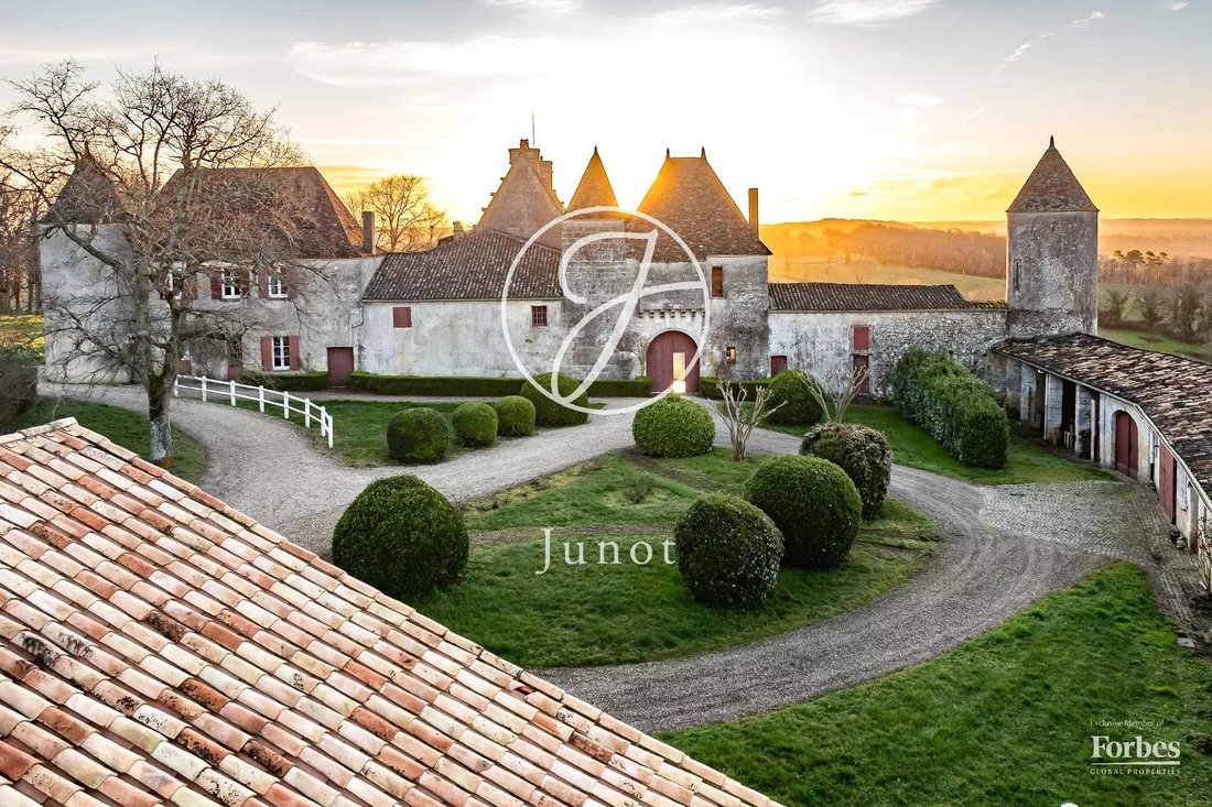 Castle in Belves-de-Castillon, Nouvelle-Aquitaine, France 5 - 17653824