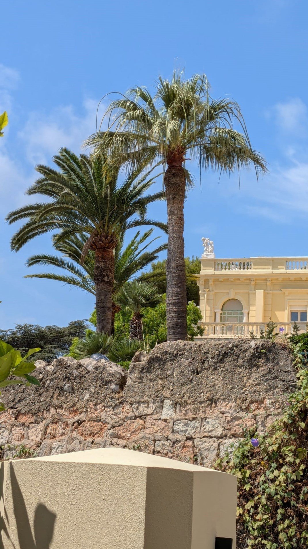 House in Cap-d'Ail, Provence-Alpes-Côte d'Azur, France 4 - 17727491