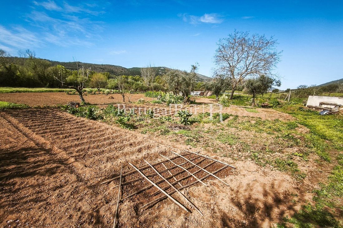 Finca in Se e Sao Lourenco, Portalegre District, Portugal 5 - 17731006