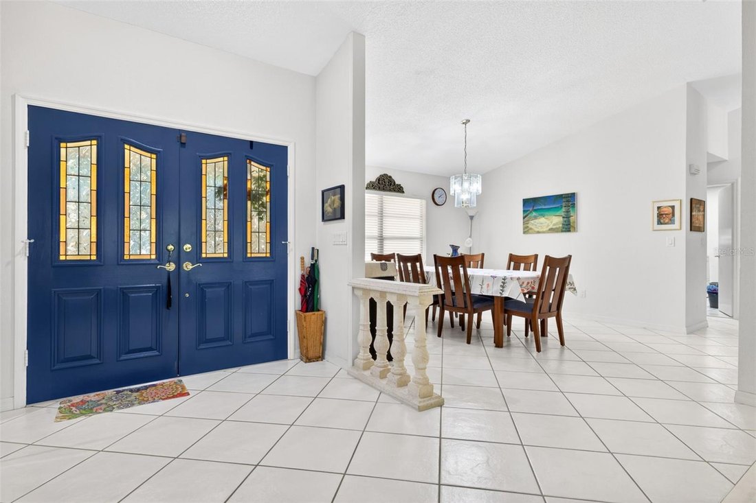House in Tampa, Florida, United States 5 - 17729902