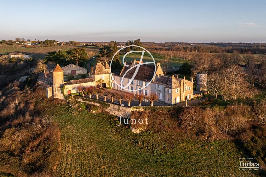 Castle in Belves-de-Castillon, Nouvelle-Aquitaine, France 1 - 17653824
