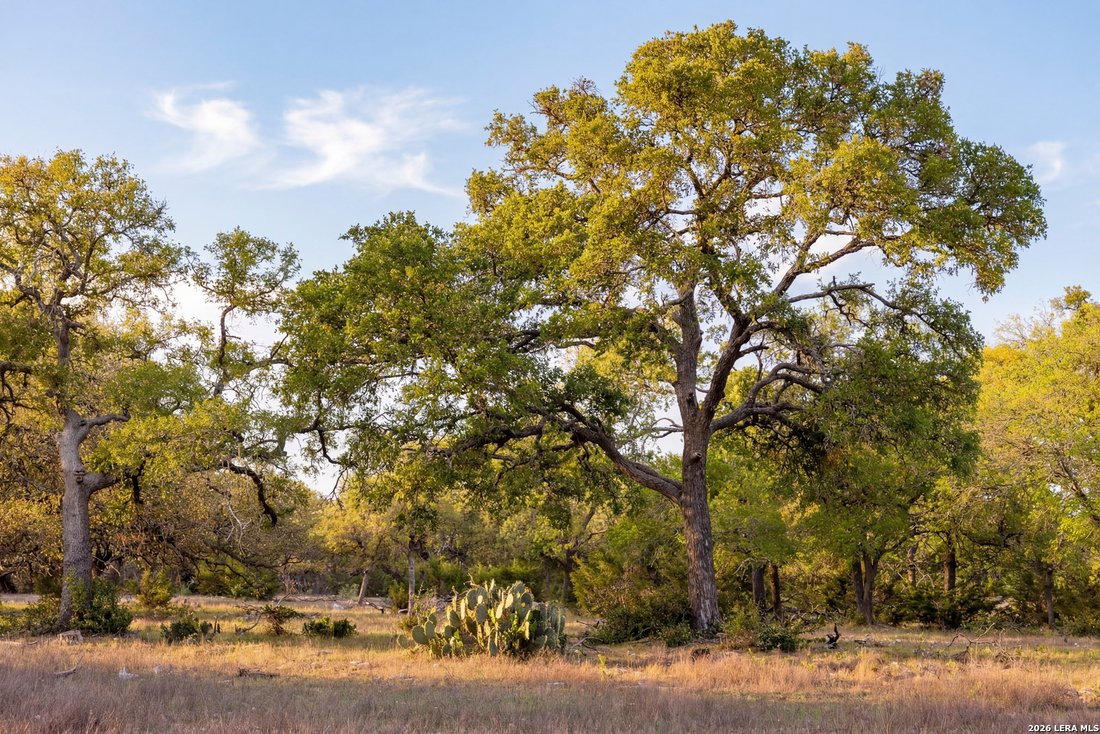 Farm Ranch in Kendalia, Texas, United States 2 - 17728435