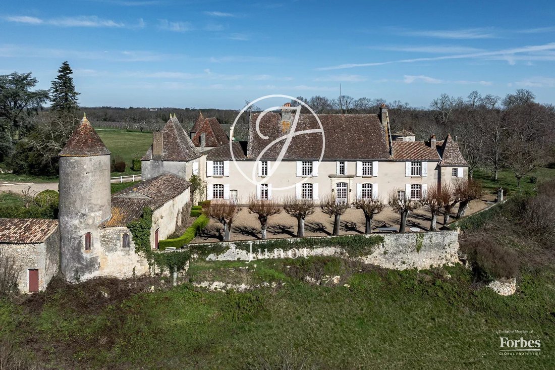Castle in Belves-de-Castillon, Nouvelle-Aquitaine, France 2 - 17653824